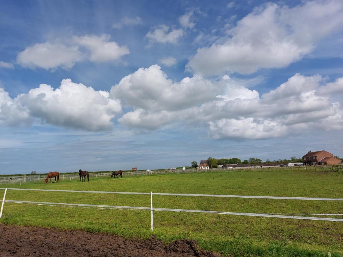 Braemar Equestrian, East Riding Of Yorkshire Burton Pidsea Exterior foto