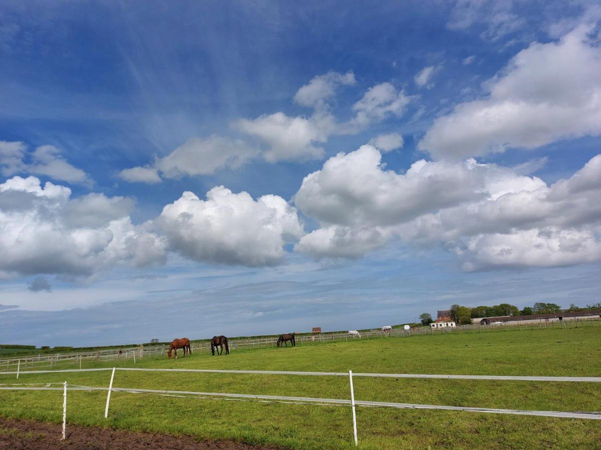 Braemar Equestrian, East Riding Of Yorkshire Burton Pidsea Exterior foto