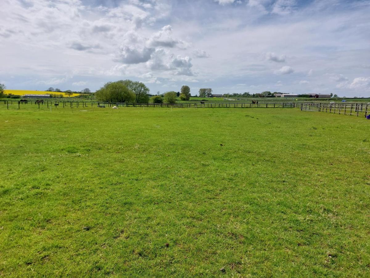 Braemar Equestrian, East Riding Of Yorkshire Burton Pidsea Exterior foto